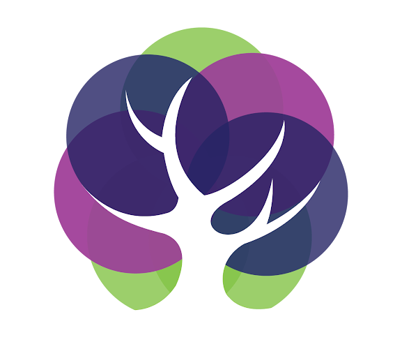 Northern Light Energy logo